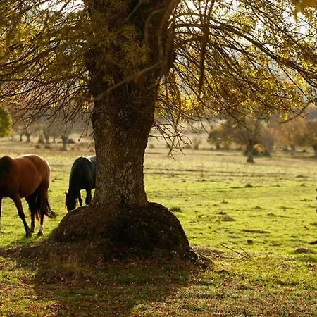 Villabamba Country house Valdeavellano de Tera