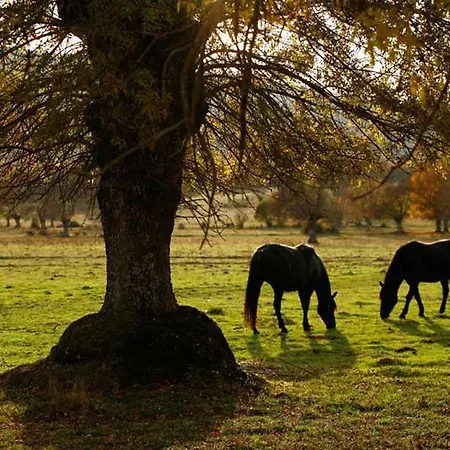 Séjour à la campagne Villabamba Valdeavellano de Tera