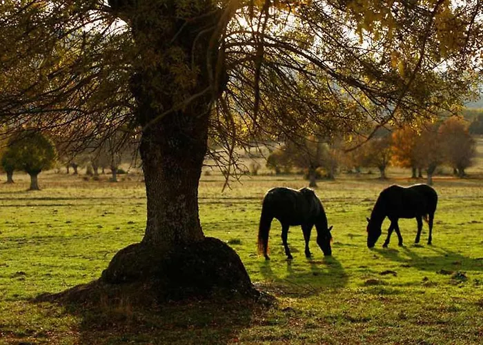 Country house Villabamba Valdeavellano de Tera